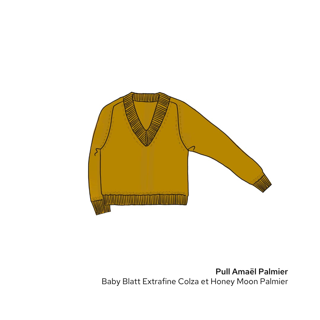 Pull Amael Palmier.png