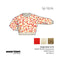 Rouge baiser et Or