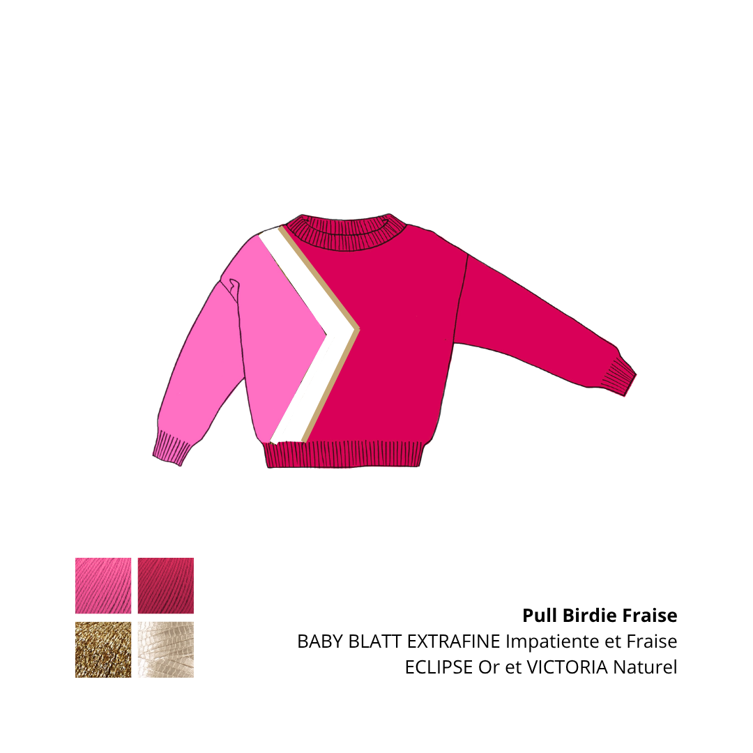 Pull Birdie à tricoter.