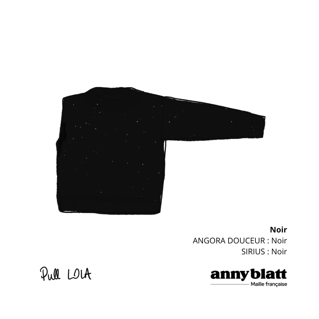 Pull Angora brillant noir Lola.png